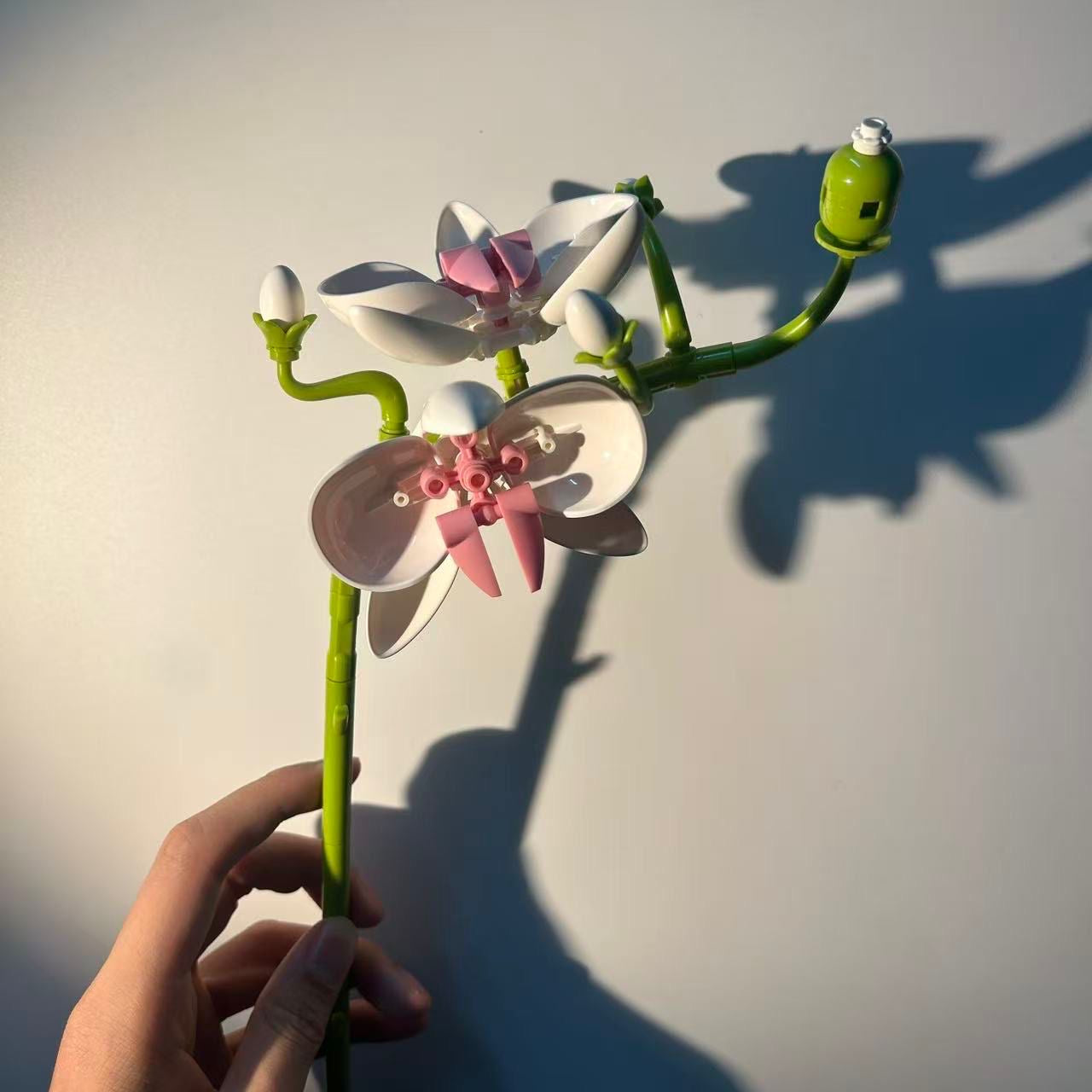 Orchid Stem Flower