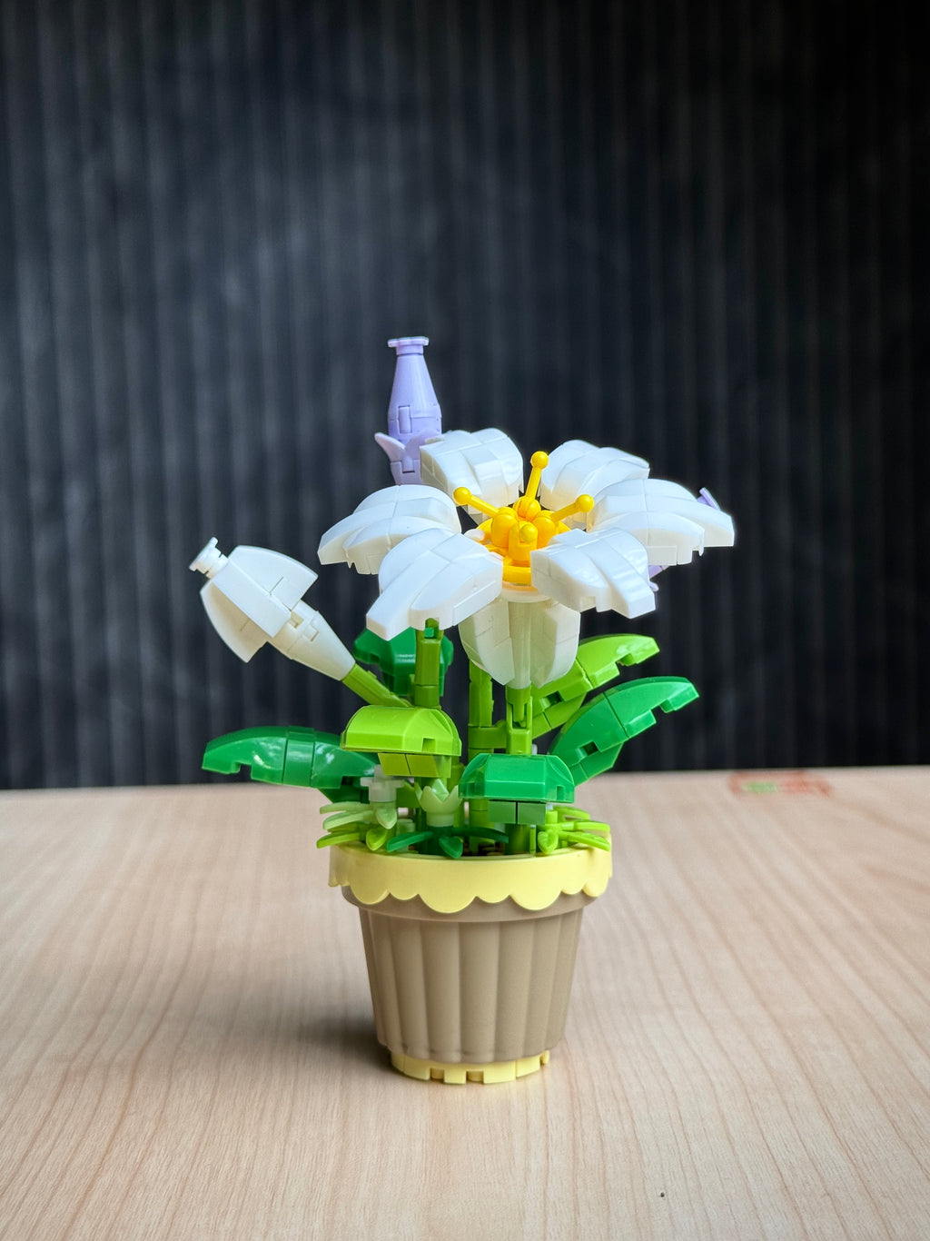 Daisy Flower (260 Pieces)
